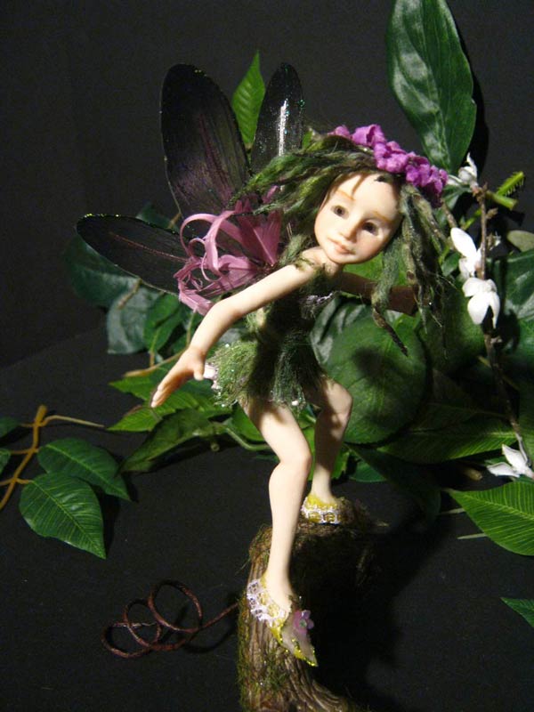 Fairy Fae Alga